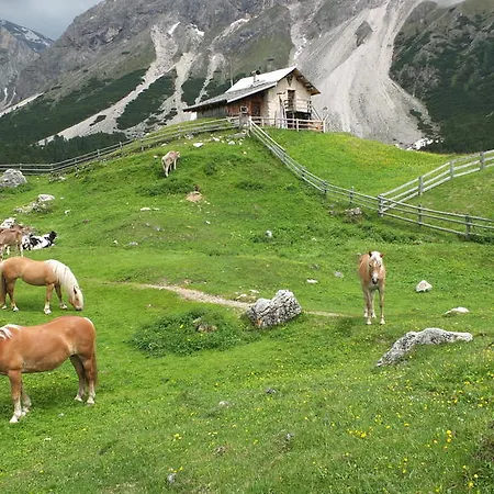 Garni Le